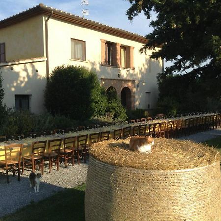 Agriturismo Giuncola & Granaiolo Rispescia Buitenkant foto