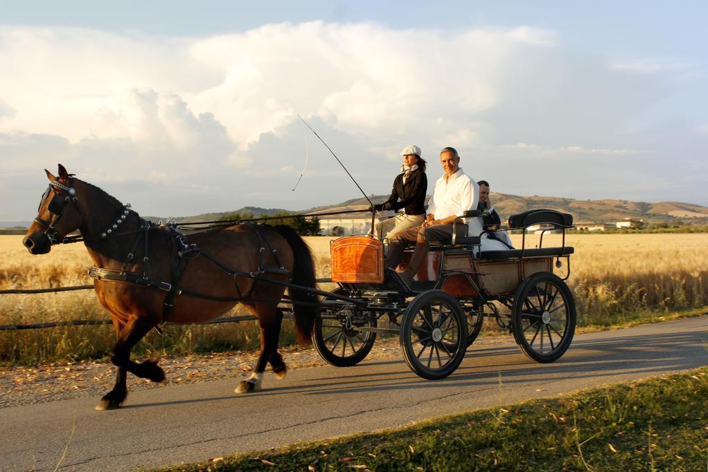Agriturismo Giuncola & Granaiolo Rispescia Buitenkant foto