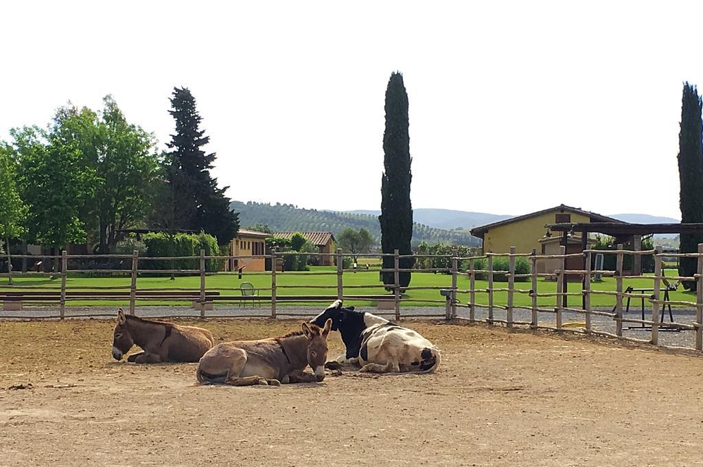Agriturismo Giuncola & Granaiolo Rispescia Buitenkant foto