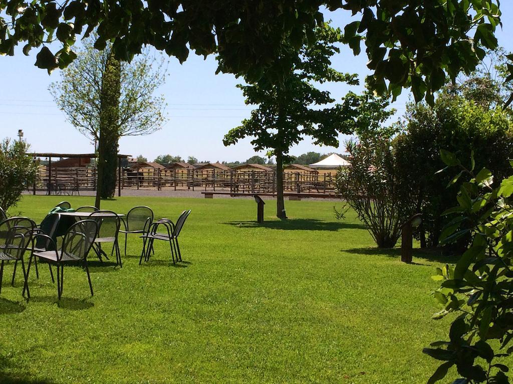 Agriturismo Giuncola & Granaiolo Rispescia Buitenkant foto