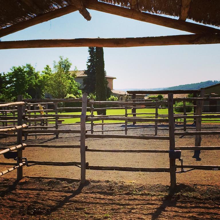 Agriturismo Giuncola & Granaiolo Rispescia Buitenkant foto