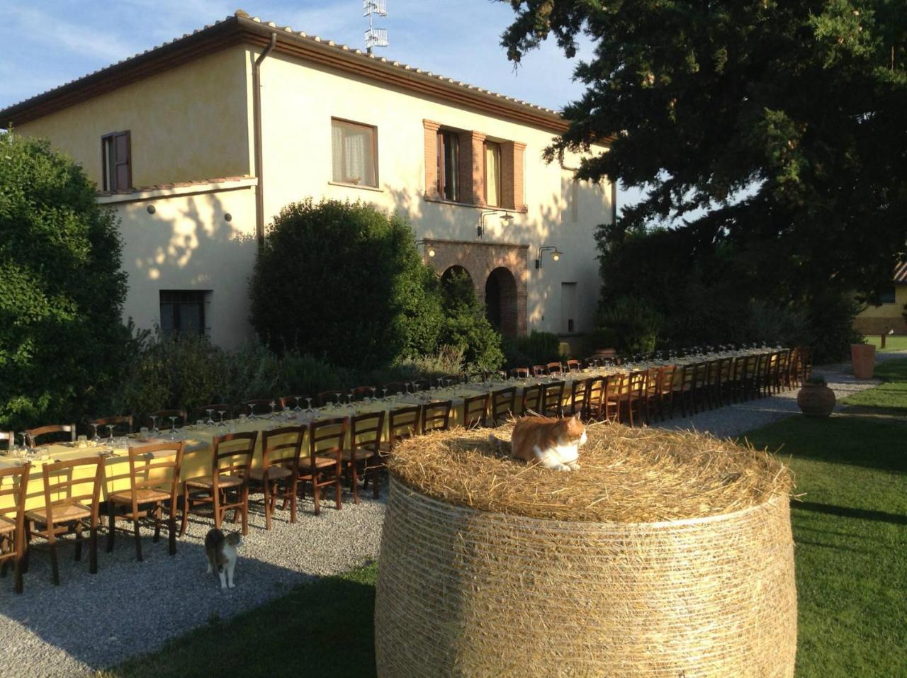 Agriturismo Giuncola & Granaiolo Rispescia Buitenkant foto
